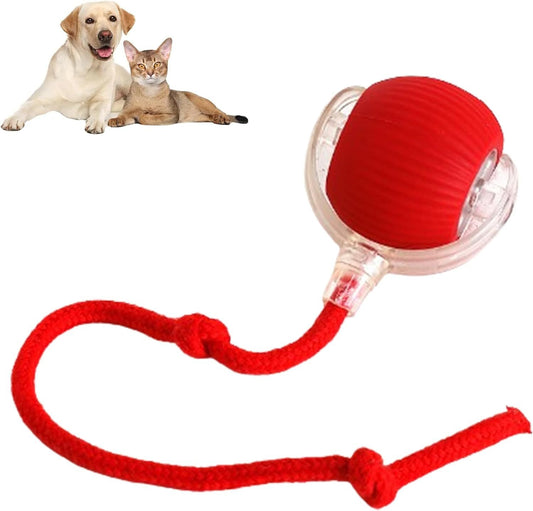 Rolling Ball Ball For Dogs Doggie Ball Interactive Toy